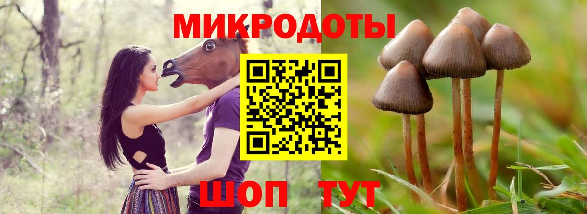 Губкинский  Галлюциногенные грибы ЛСД  купить  цена  Вход с VPN 