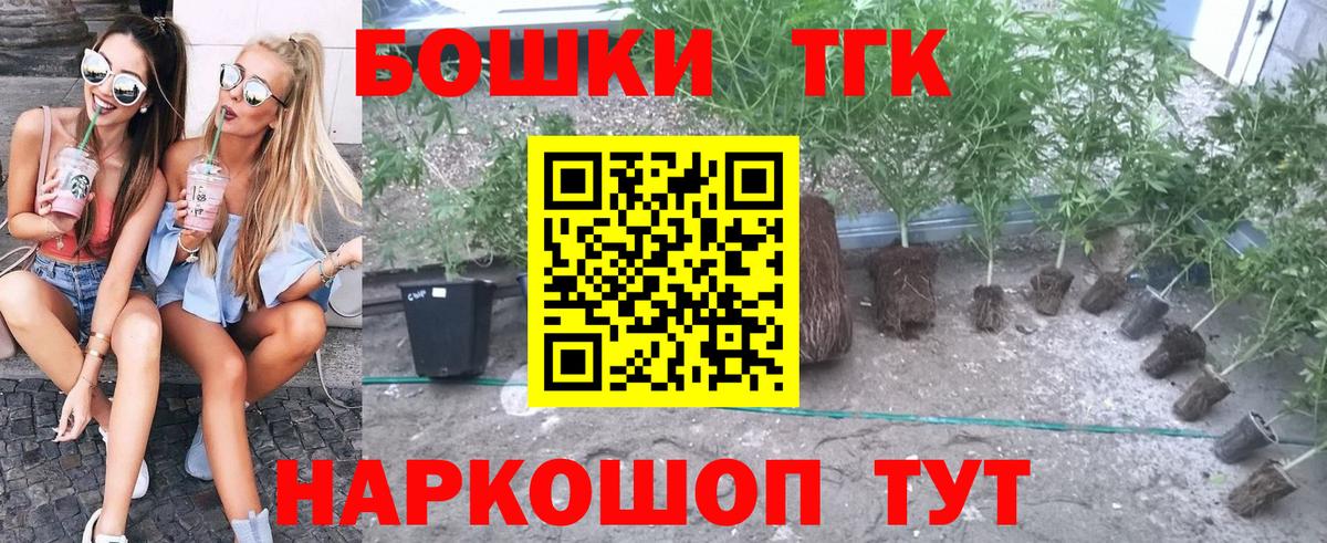 Марихуана семена Губкинский